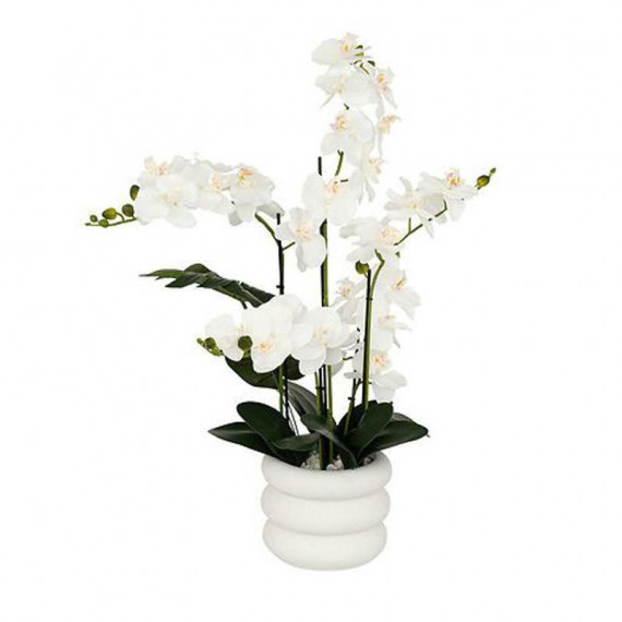 Terraza Y Jardín Planta 3513426