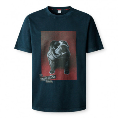 Camiseta gráfico estampado fit regular