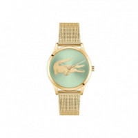 RELOJ CROCODELLE DORADO