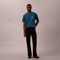 Camiseta clásica con logo gráfico de rosas