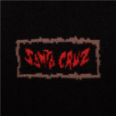 Sudadera SANTA CRUZ Pace torch bones