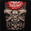 Sudadera SANTA CRUZ Pace torch bones