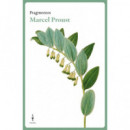 FRAGMENTOS MARCEL PROUST