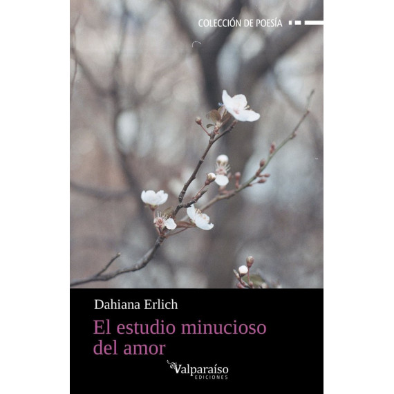 ESTUDIO MINUCIOSO DEL AMOR, EL