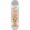 SOVRN - PLAYGROUND 8.50" - SKATE DECK