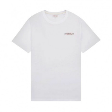 CAMISETA AMERICAN TRADITION SLIM