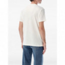 POLO RALPH LAUREN - knit-t-shirt - NEVIS HUDSN VALLEY BEAR - 710P07346001/NEVIS HUDSN VALLEY BEAR