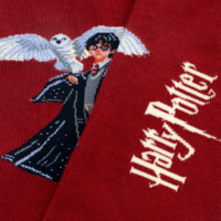 Calcetines JIMMY LION Harry Potter™ The Boy Who Lived