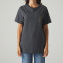 Camisetas Hombre Camiseta JIMMY LION Harry Potter™ Herbology