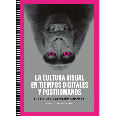 CULTURA VISUAL EN TIEMPOS DIGITALES Y POSTHUMANOS