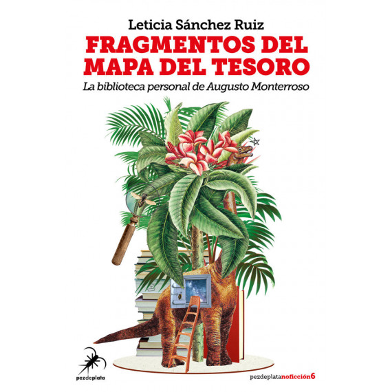 FRAGMENTOS DEL MAPA DEL TESORO