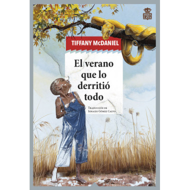 EL VERANO QUE LO DERRITIO TODO