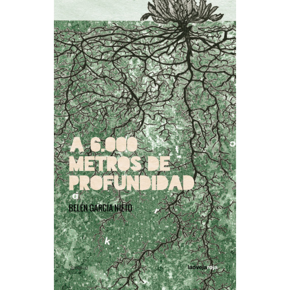 A 6.000 METROS DE PROFUNDIDAD