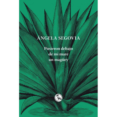 Pusieron debajo de mi mare un mag�ey