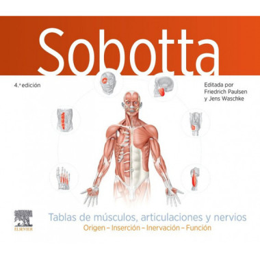 SOBOTTA TABLAS DE MUSCULOS ARTICULACIONES Y NERVIOS 4� ED