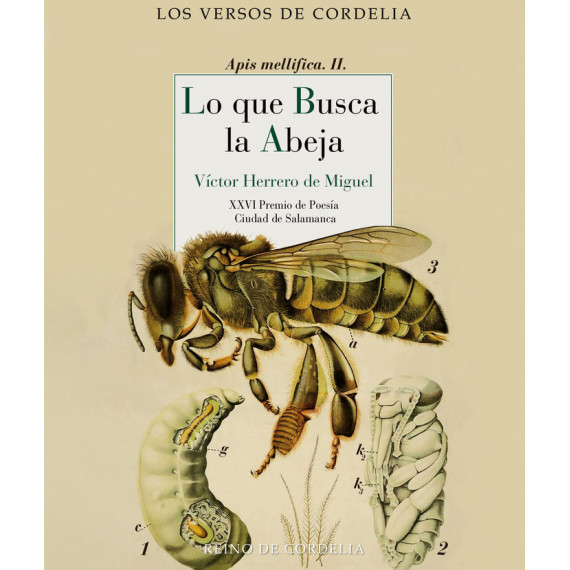 LO QUE BUSCA LA ABEJA