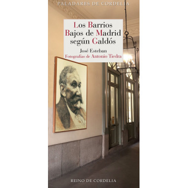 BARRIOS BAJOS DE MADRID SEGUN GALDOS,LOS