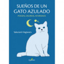 SUE�OS DE UN GATO AZULADO