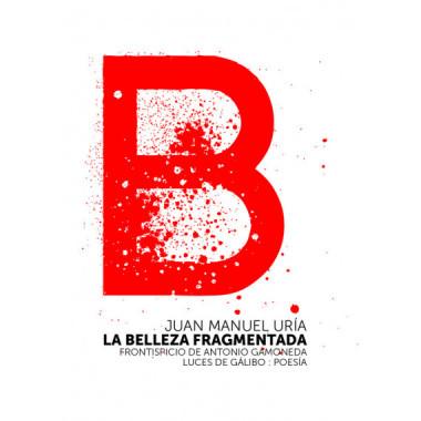 LA BELLEZA FRAGMENTADA