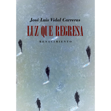 LUZ QUE REGRESA