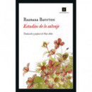 Estudios de lo salvaje