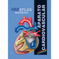 Maxi Atlas 6 Aparato Cardiovascular