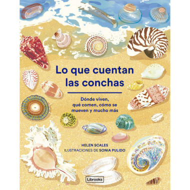 LO QUE CUENTAN LAS CONCHAS