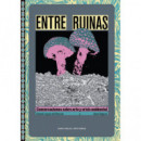 ENTRE RUINAS
