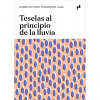 TESELAS AL PRINCIPIO DE LA LLUVIA