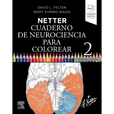 Netter:cuaderno neurociencia para colorear