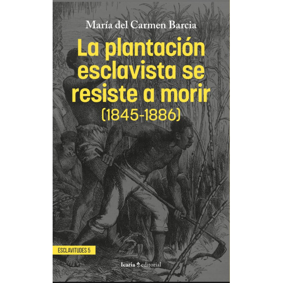 LA PLANTACION ESCLAVISTA SE RESISTE A MORIR (1845-1886)