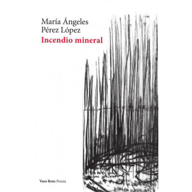 INCENDIO MINERAL