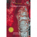 MORFOLOGIA DE LA SANGRE