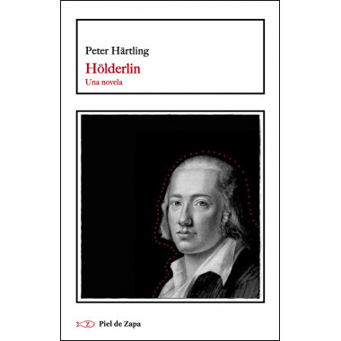 H�lderlin. Una novela