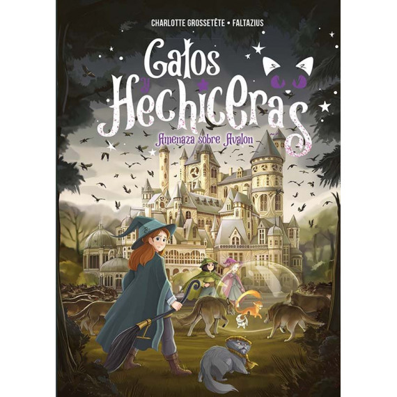 Gatos y hechiceras - VOL II