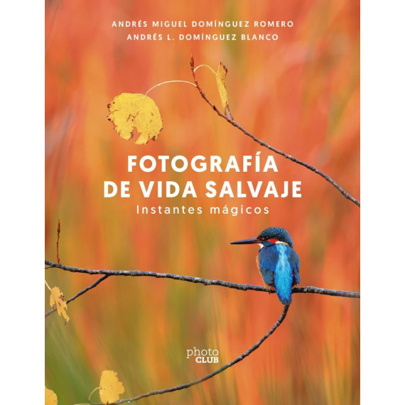 FOTOGRAFIA DE VIDA SALVAJE INSTANTES MAGICOS