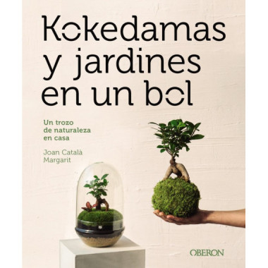 Kokedamas y jardines en un bol