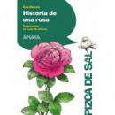Historia de una rosa