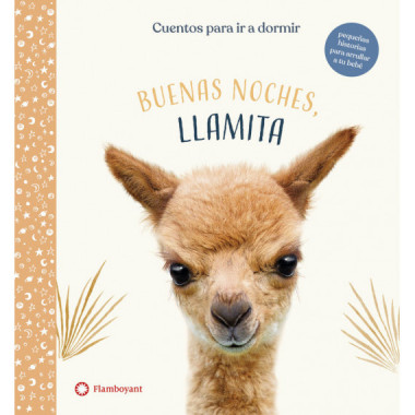 BUENAS NOCHES LLAMITA