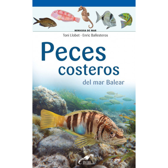 �Qu� sabes de Barcelona?