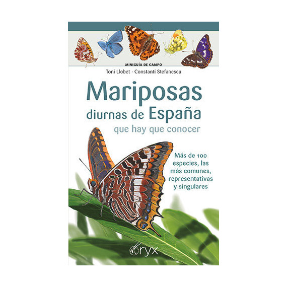 MARIPOSAS DIURNAS DE ESPA�A QUE HAY QUE CONOCER