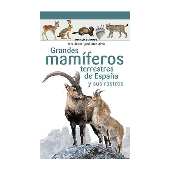 GRANDES MAMIFEROS TERRESTRES DE ESPA�A Y SUS RASTROS