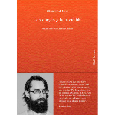 LAS ABEJAS Y LO INVISIBLE