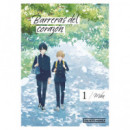 BARRERAS DEL CORAZON 1