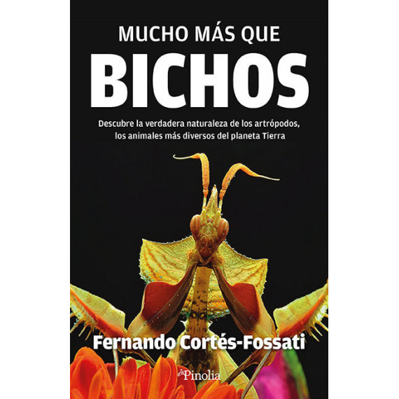 BICHOS