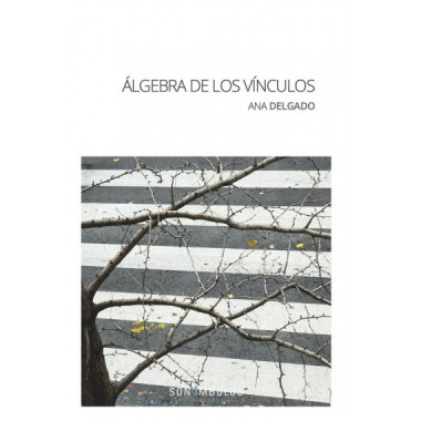 �LGEBRA DE LOS V�NCULOS