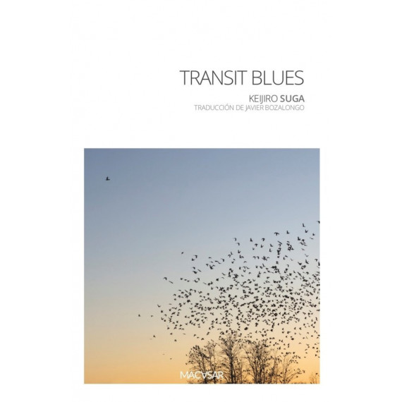 TRANSIT BLUES
