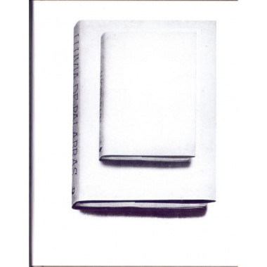 LLUVIA DE PALABRAS (O UNA INTRODUCCION DISCURSIVA A LAS INTI