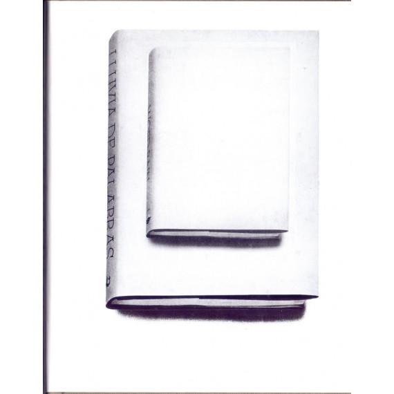 LLUVIA DE PALABRAS (O UNA INTRODUCCION DISCURSIVA A LAS INTI