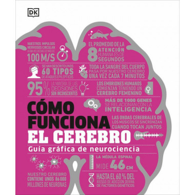 COMO FUNCIONA EL CEREBRO